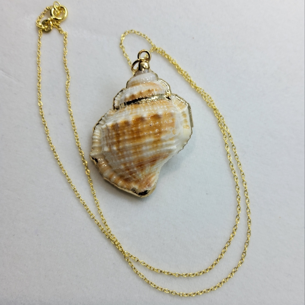 14k Over 925 Shell Necklace